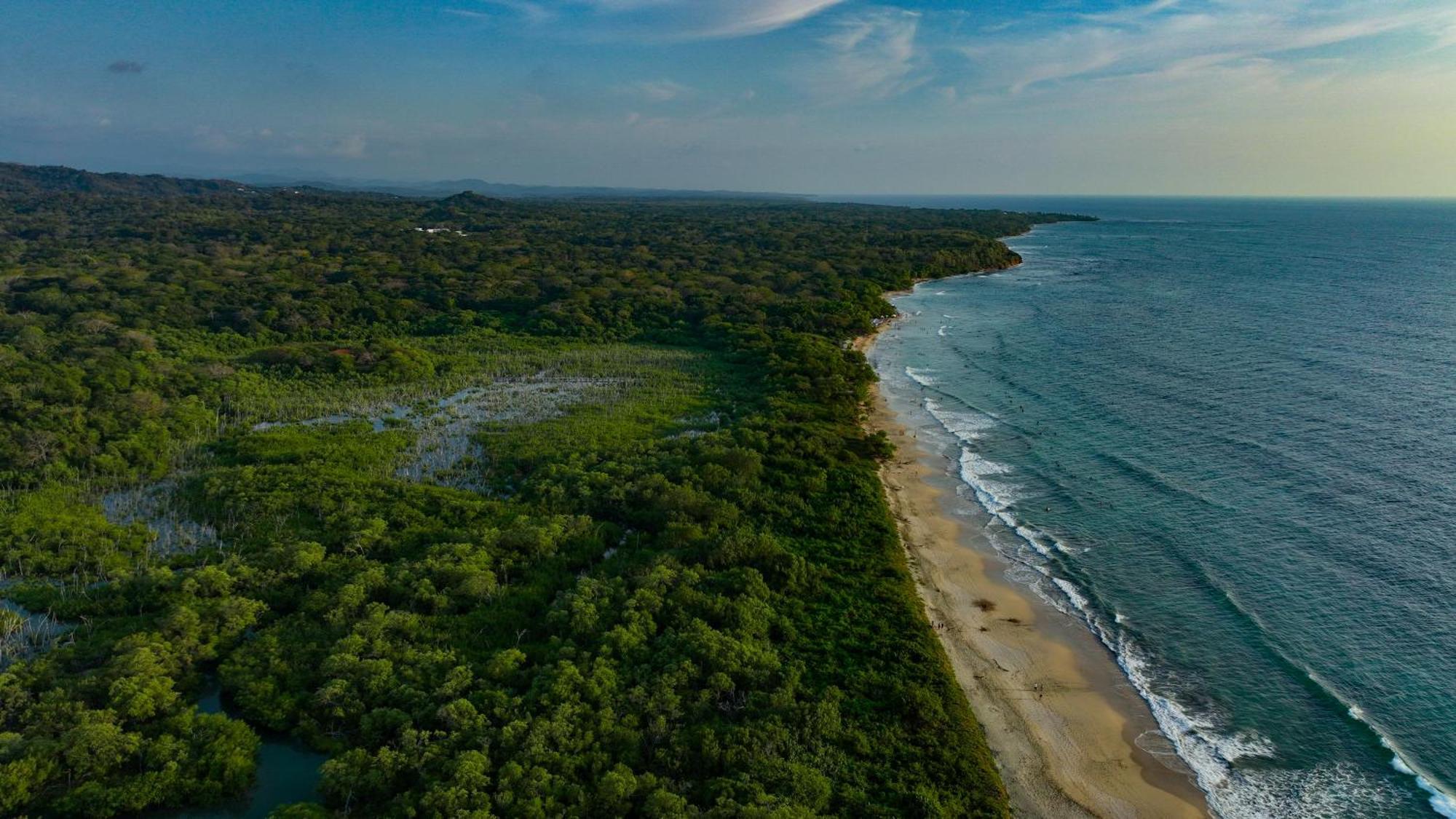 Beach Walk Costa Rica Playa Avellana Exterior foto